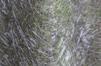 West Keal fibreglass roof work